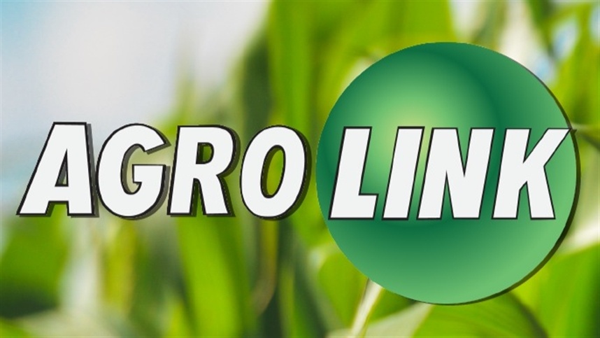 Logo Agrolink